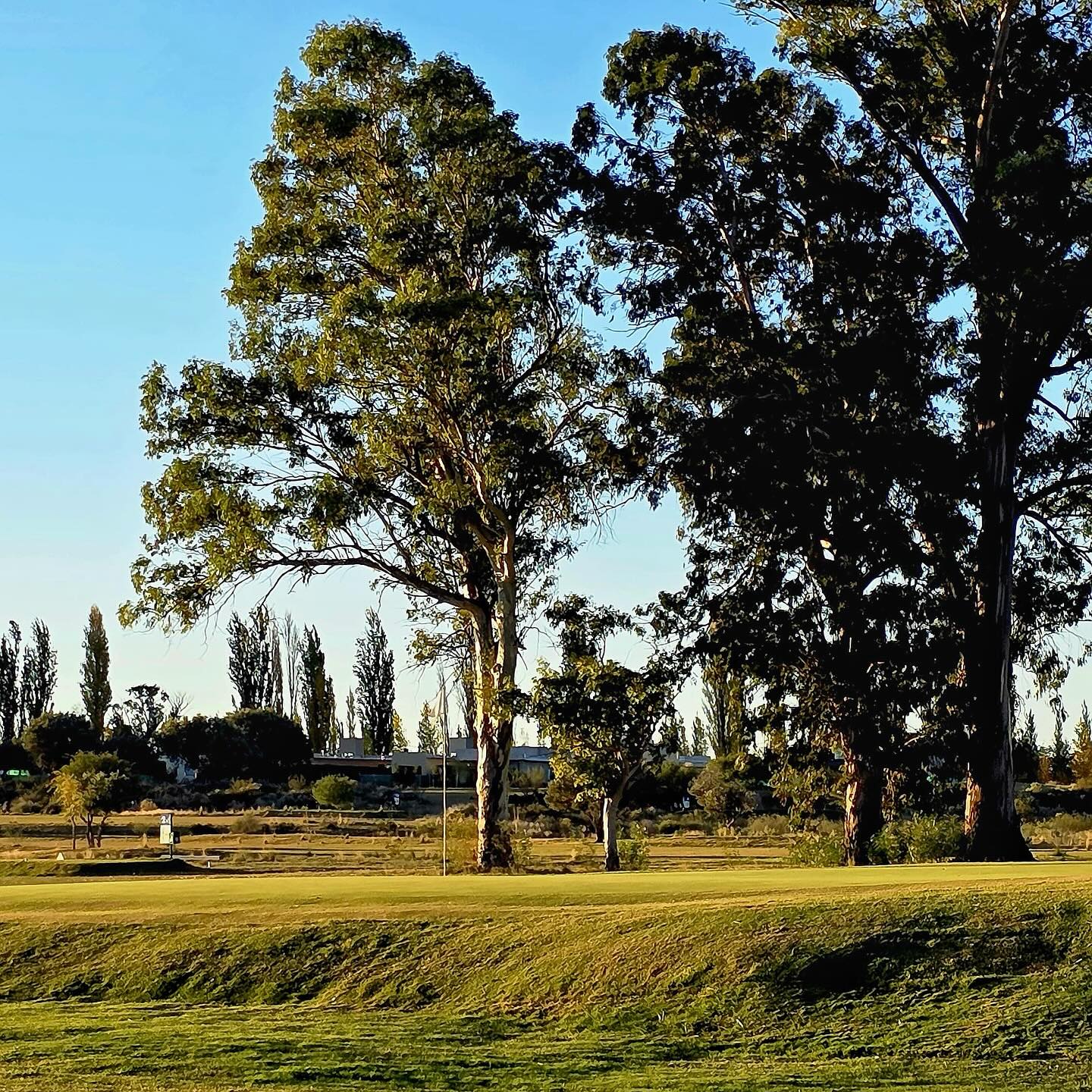 NEVADO GOLF CLUB