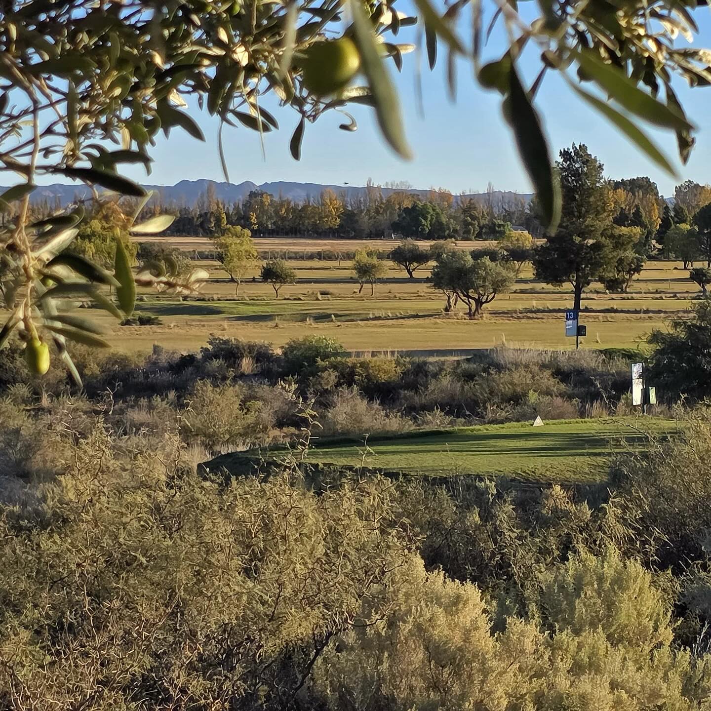 NEVADO GOLF CLUB