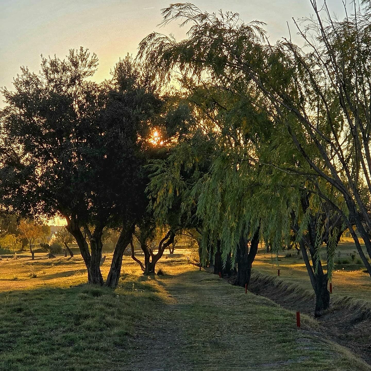 NEVADO GOLF CLUB