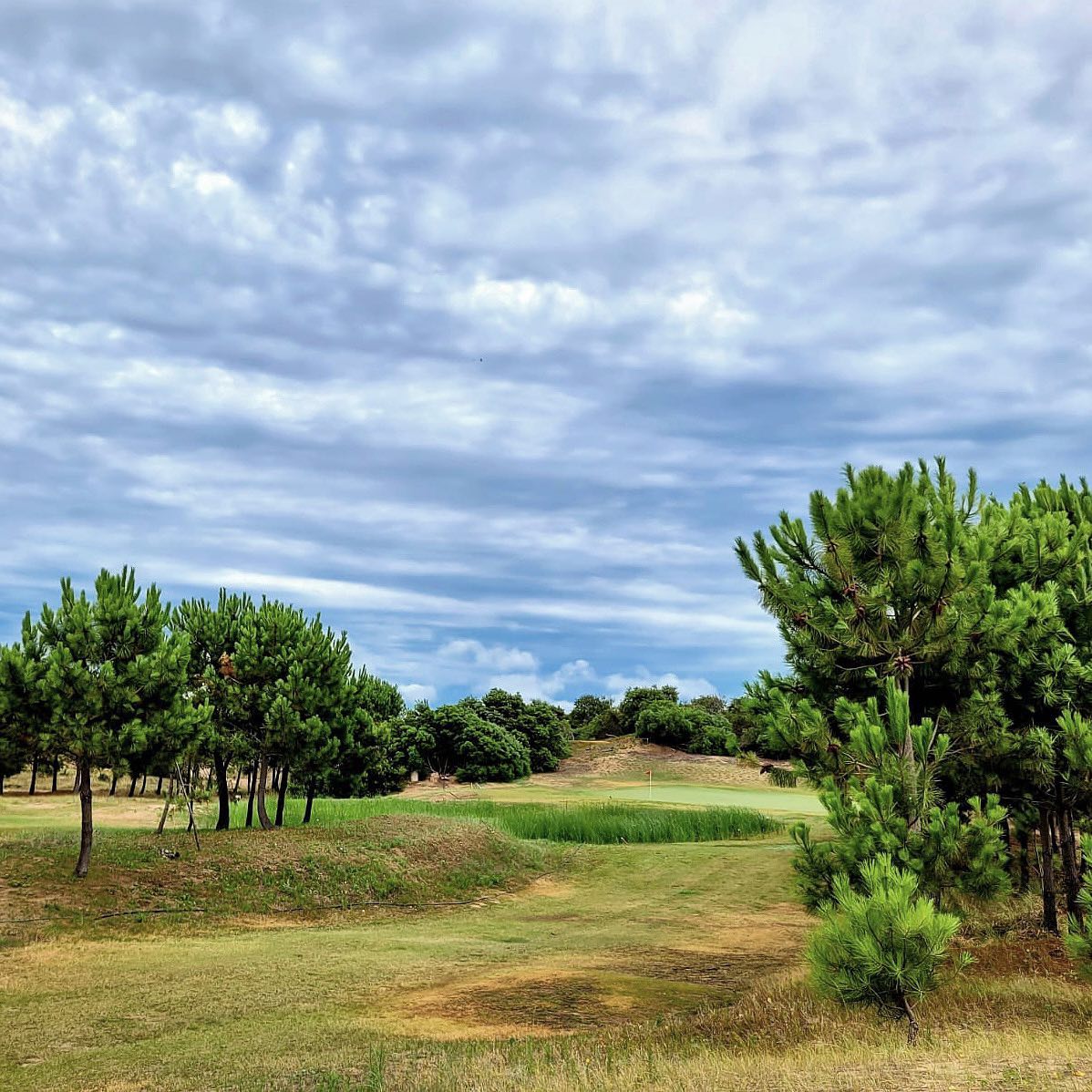 NORTH BEACH LINKS