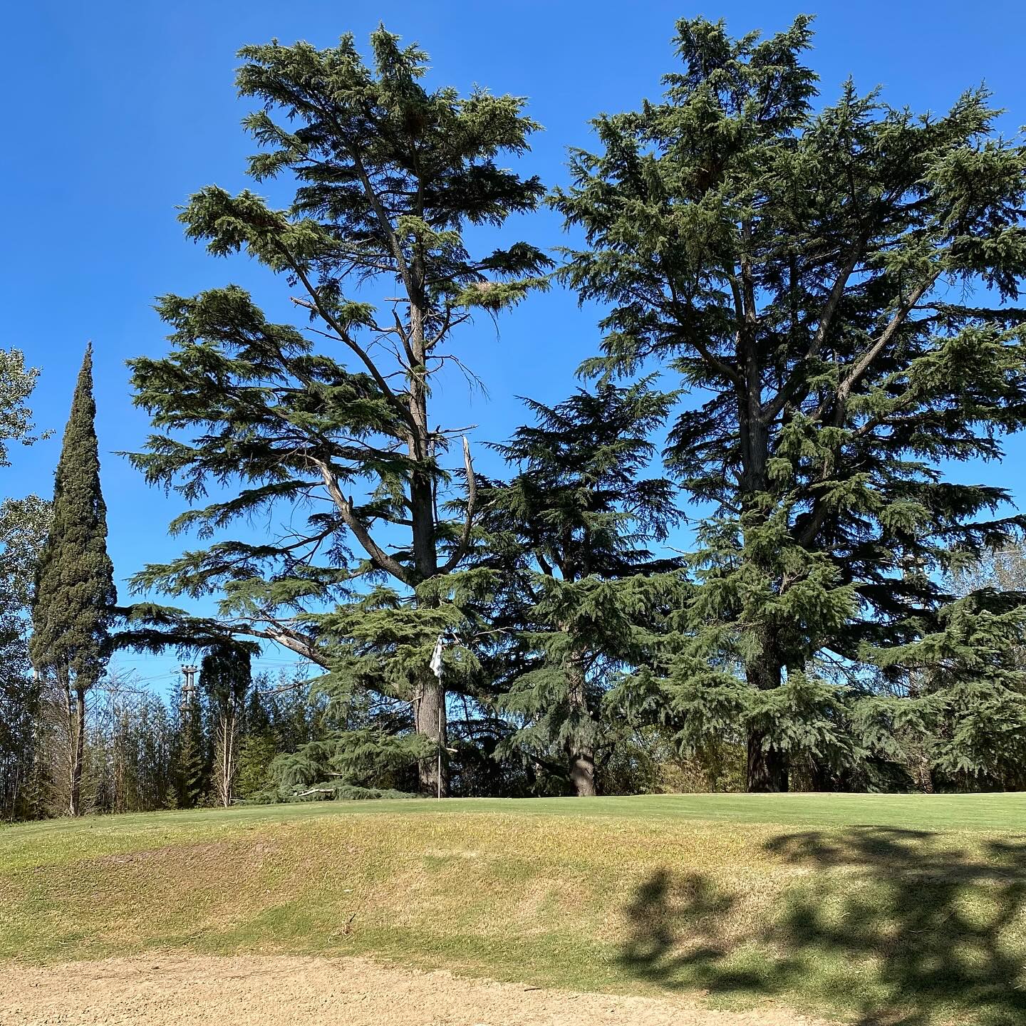 OCARAGUA GOLF CLUB