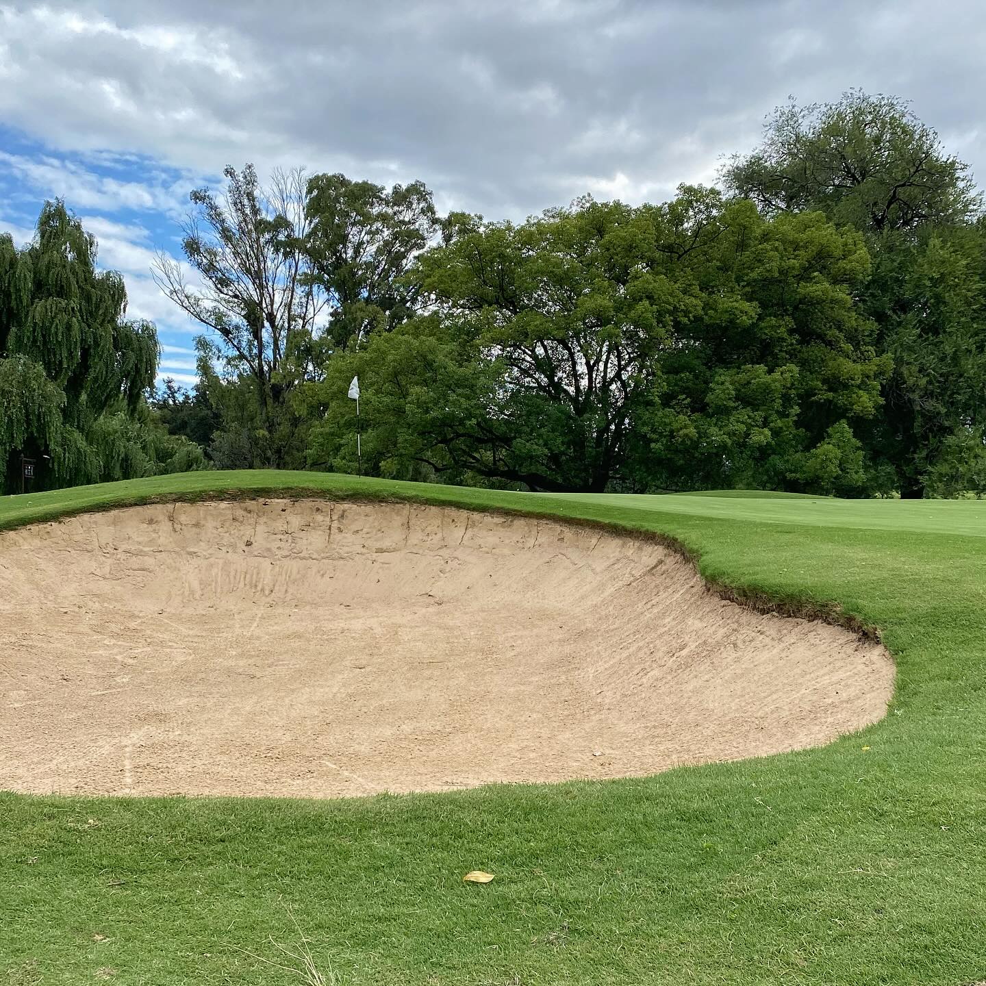 OLIVOS GOLF CLUB