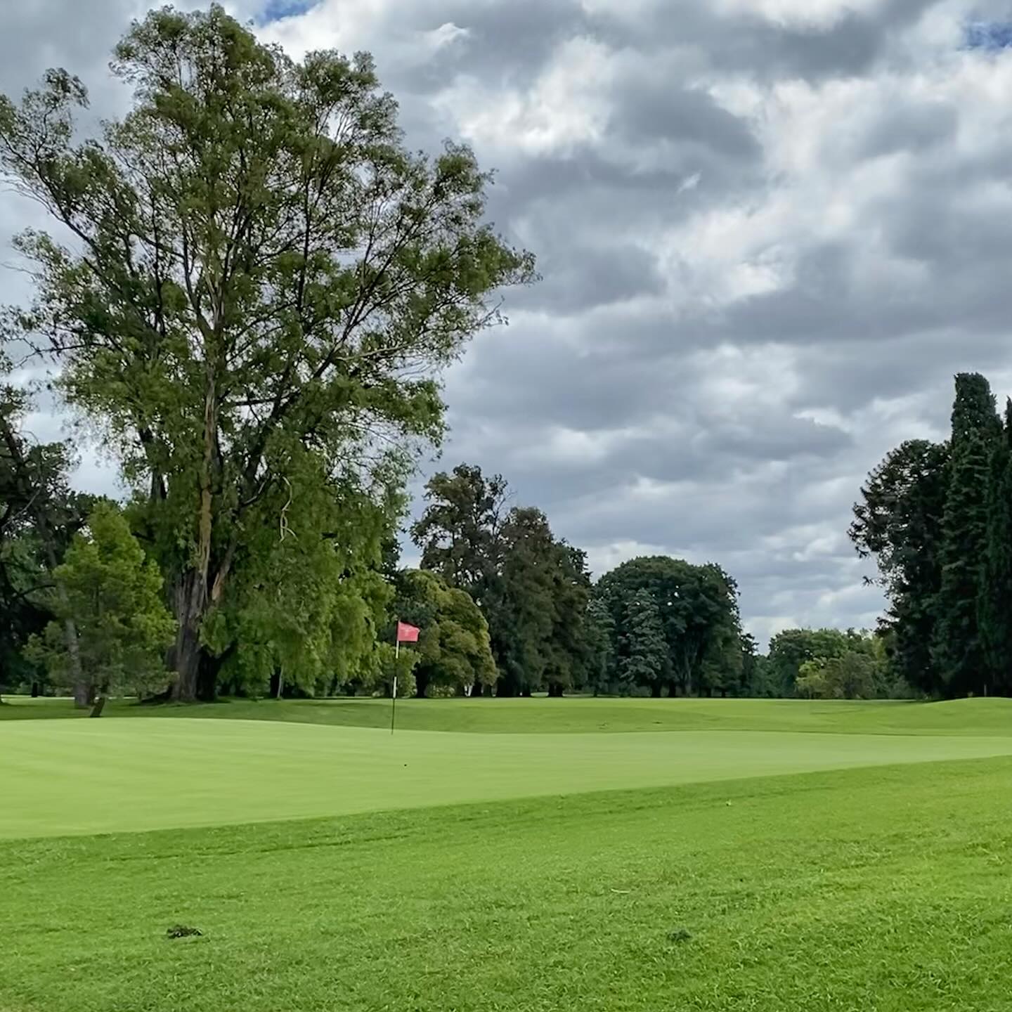 OLIVOS GOLF CLUB