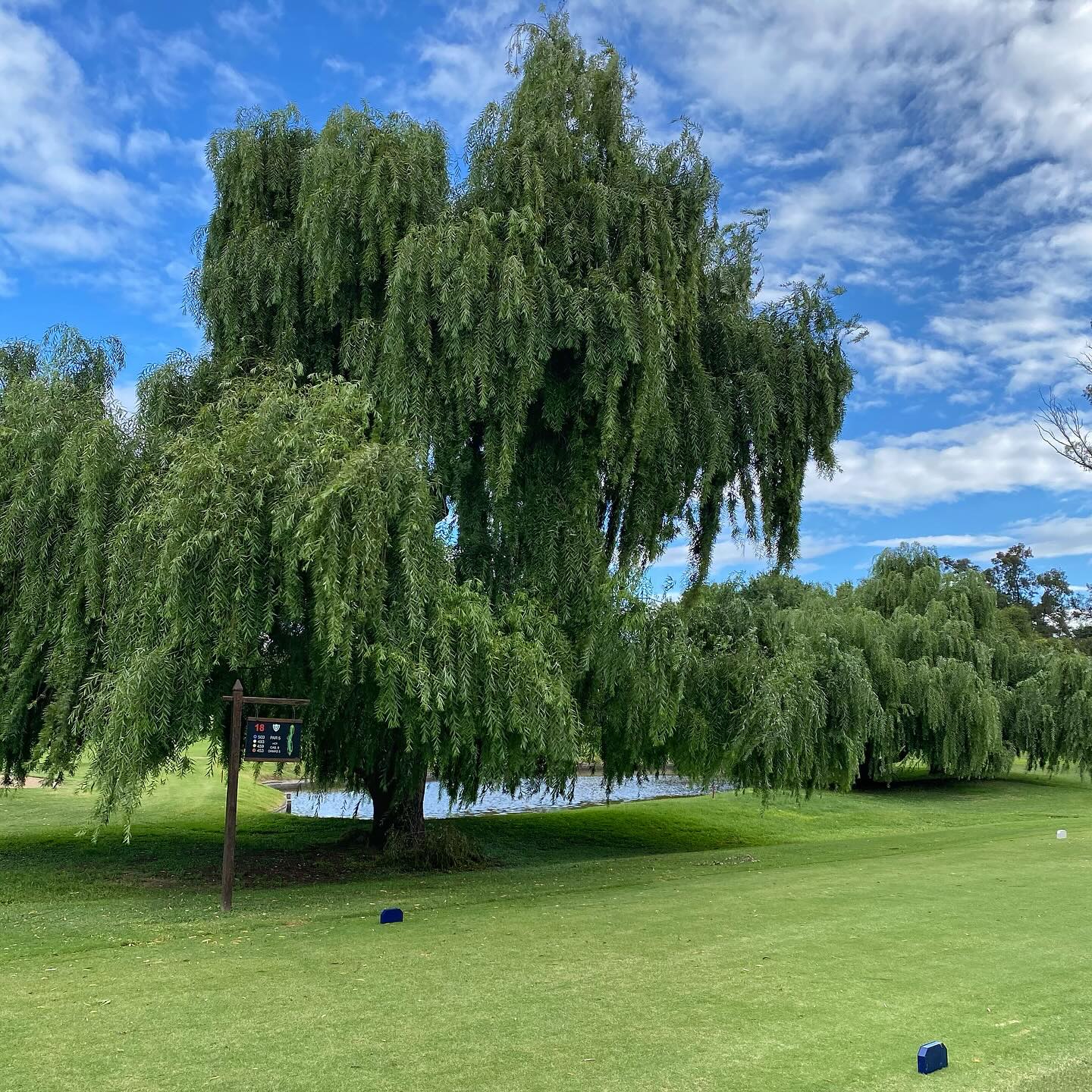 OLIVOS GOLF CLUB