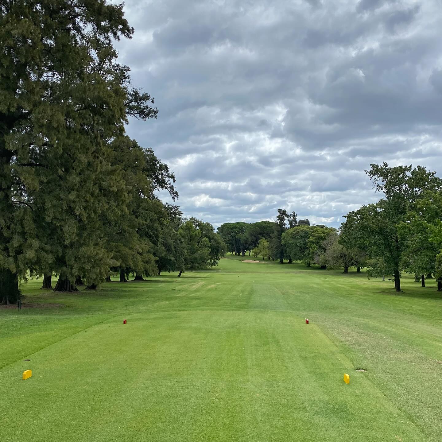 OLIVOS GOLF CLUB
