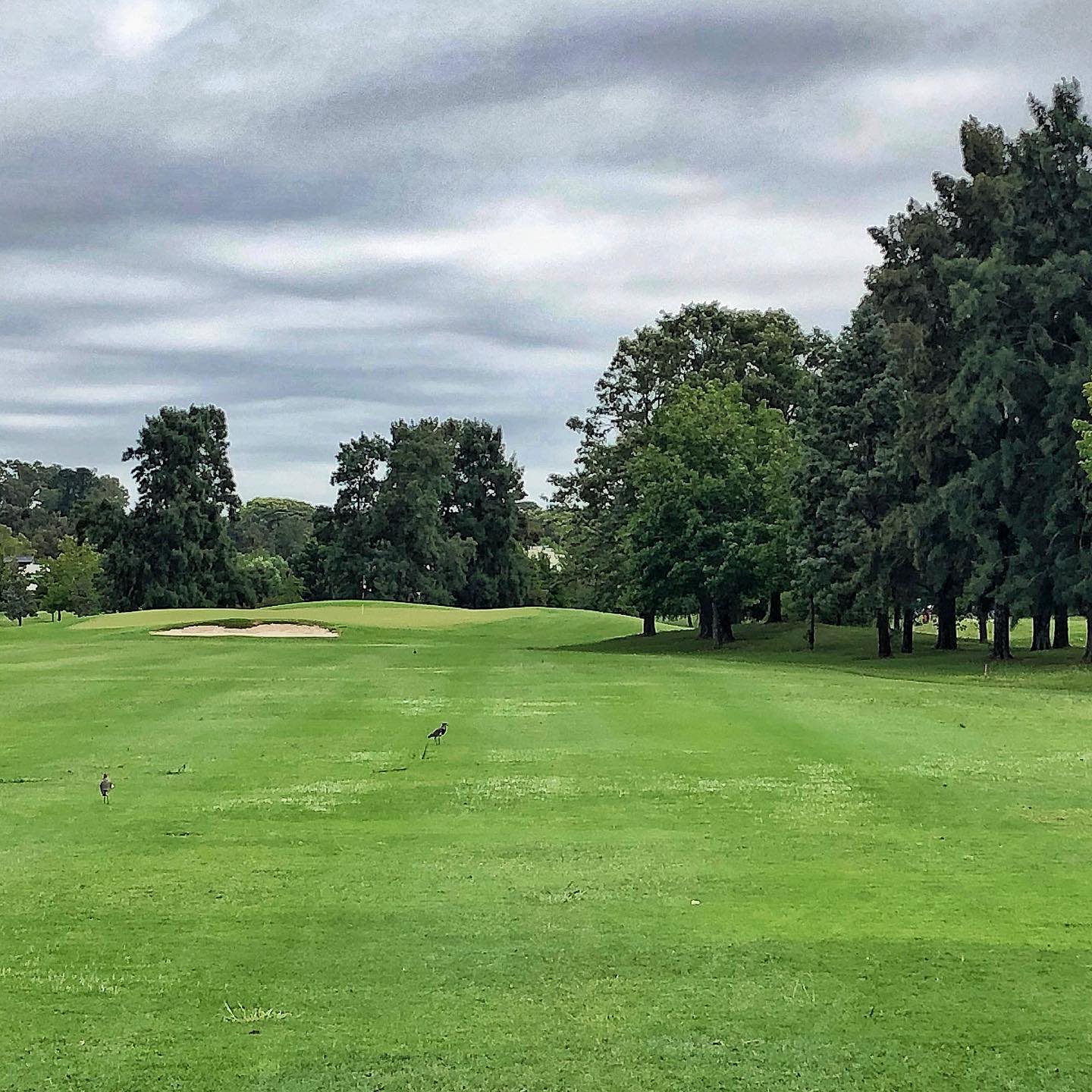 PACHECO GOLF CLUB