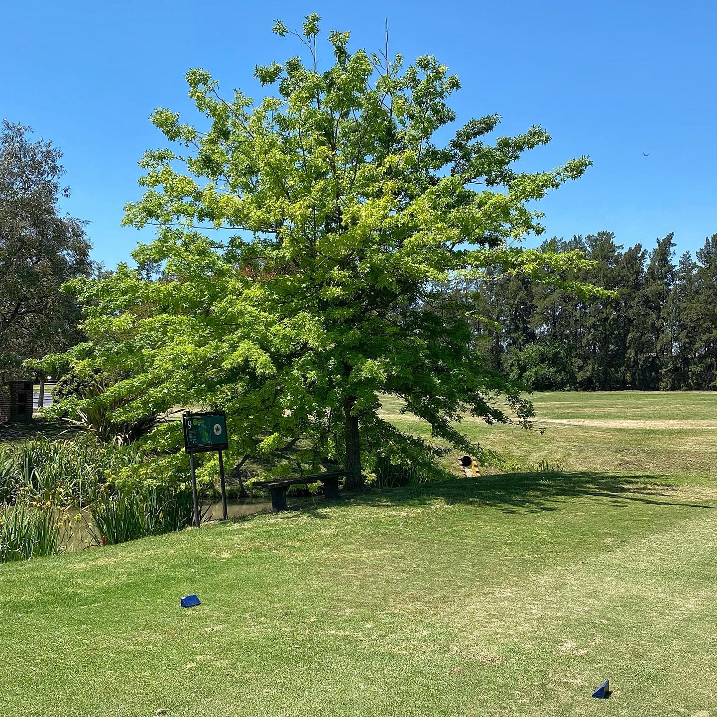 PACHECO GOLF CLUB