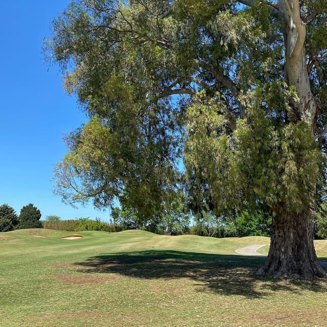 Pilar Golf