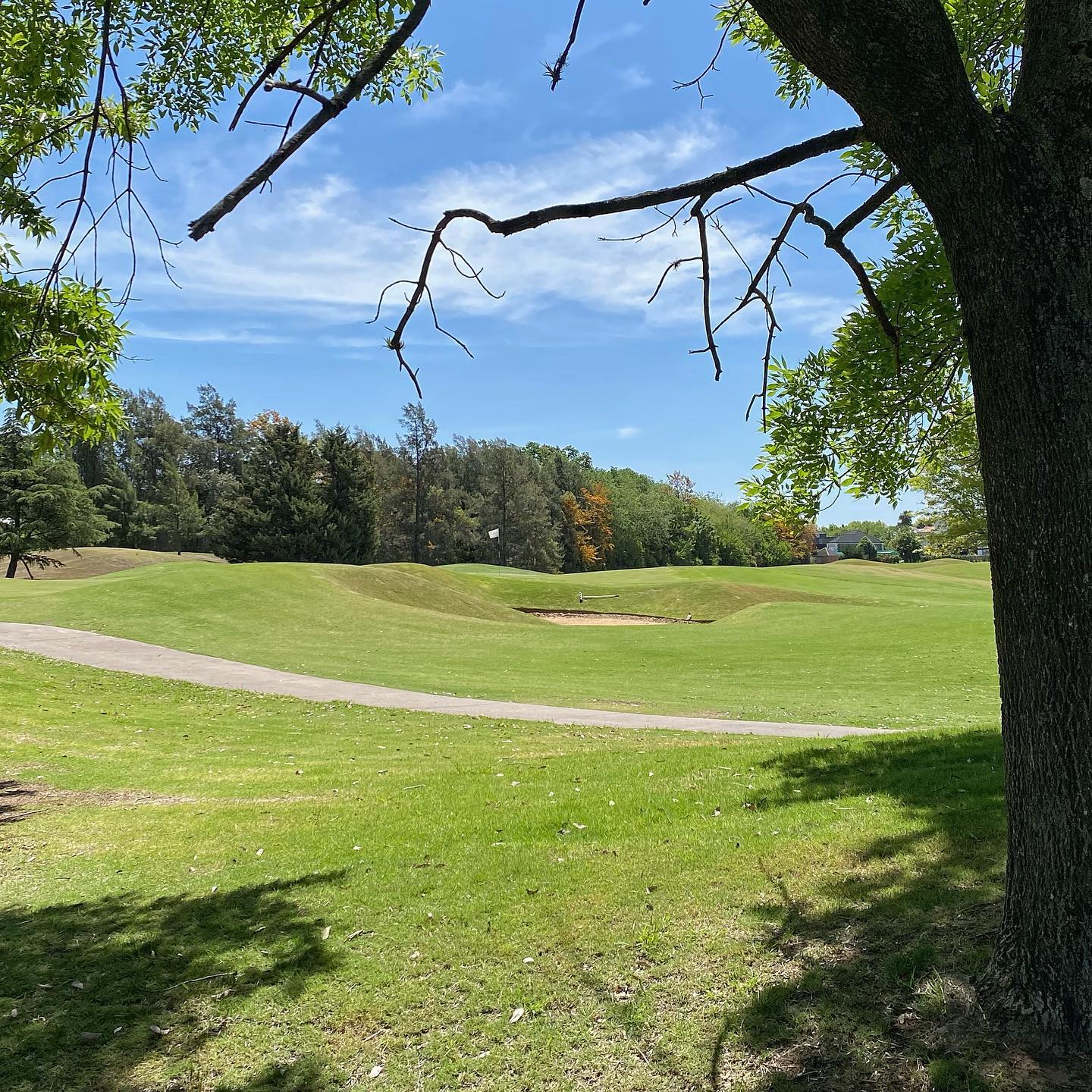 PILAR GOLF CLUB
