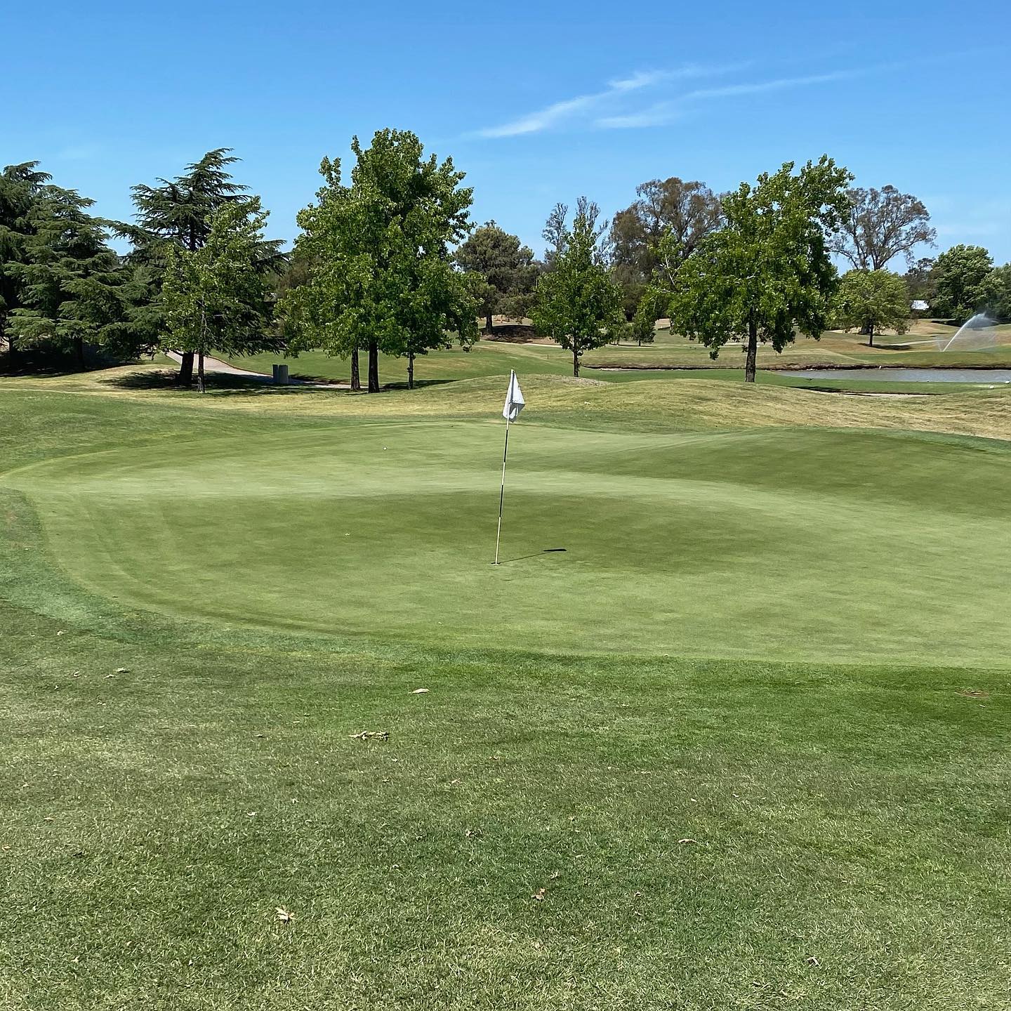 PILAR GOLF CLUB
