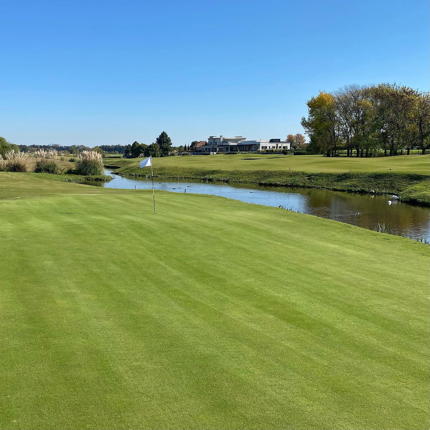 PILARA GOLF