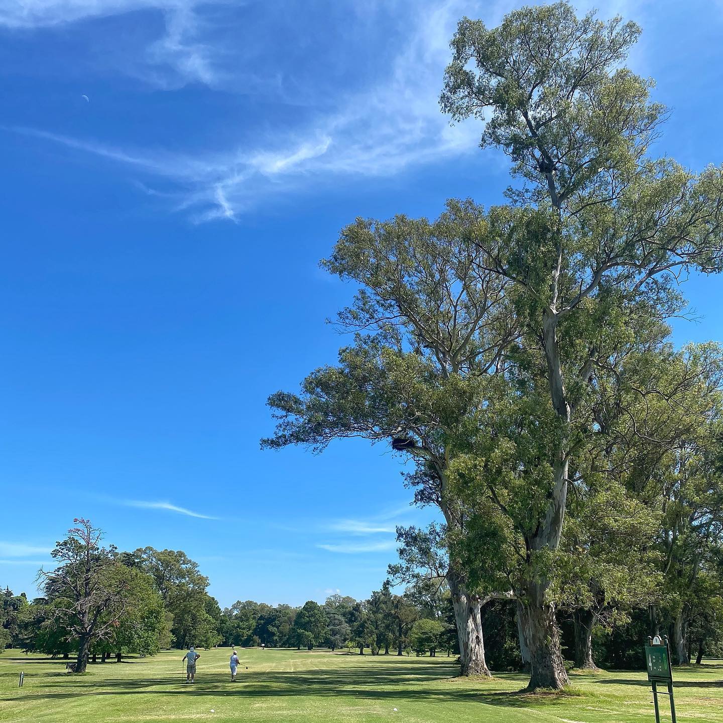 RANELAGH GOLF CLUB