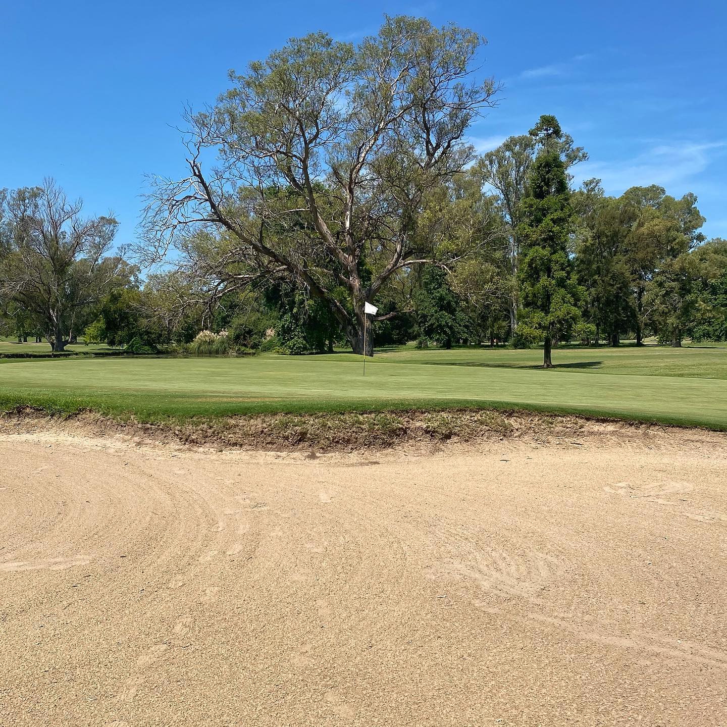 RANELAGH GOLF CLUB