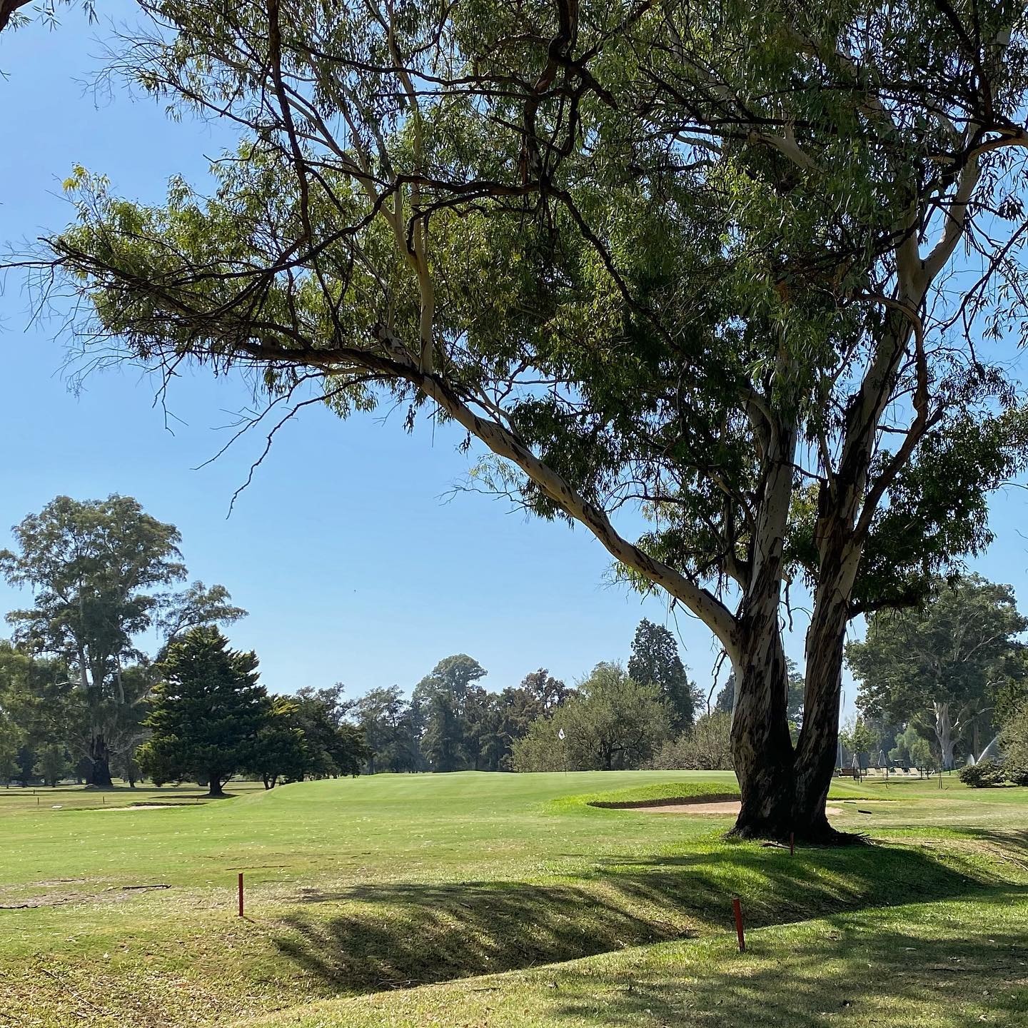 ROSARIO GOLF CLUB