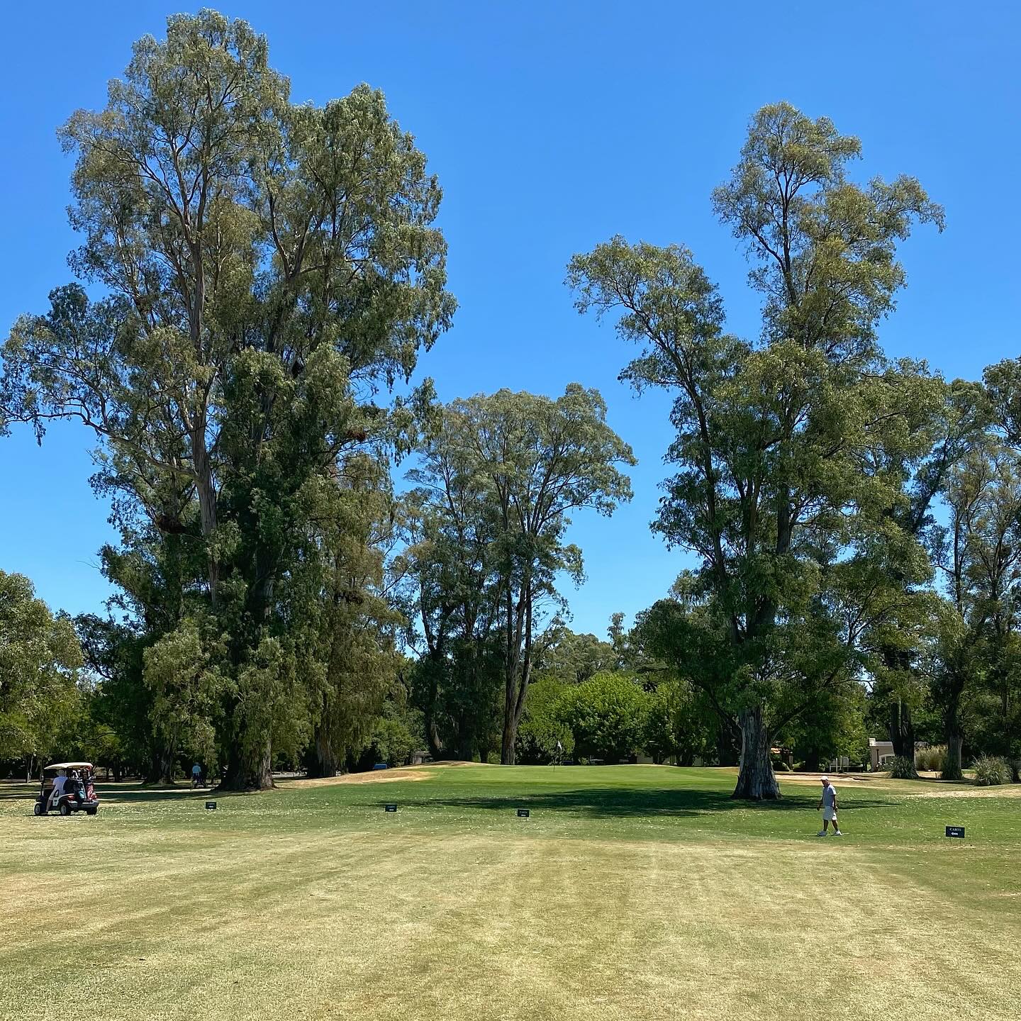 SAN ELISEO GOLF & COUNTRY CLUB