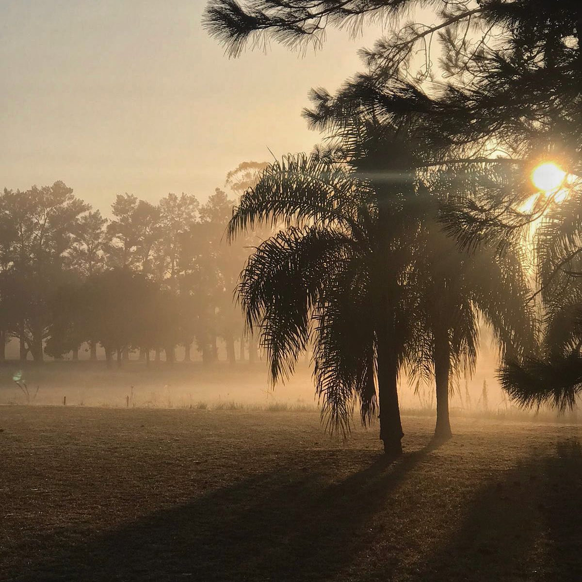 San Jerónimo del Rey Golf Club