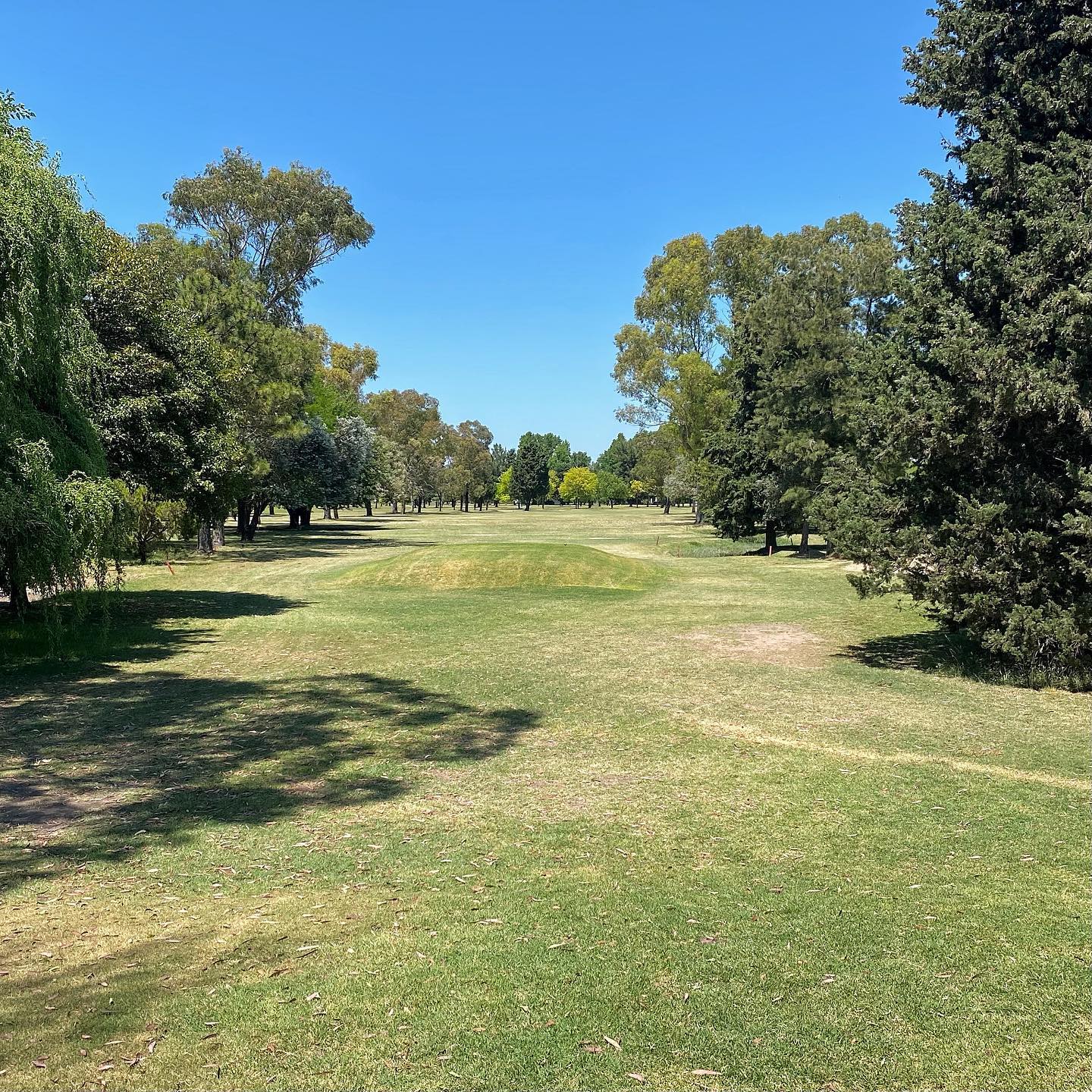 SAN JORGE GOLF CLUB
