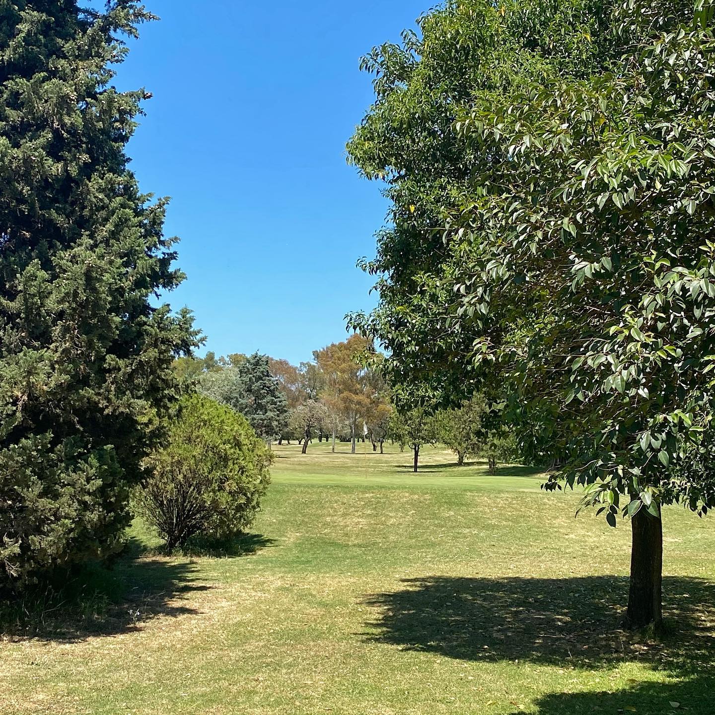 SAN JORGE GOLF CLUB