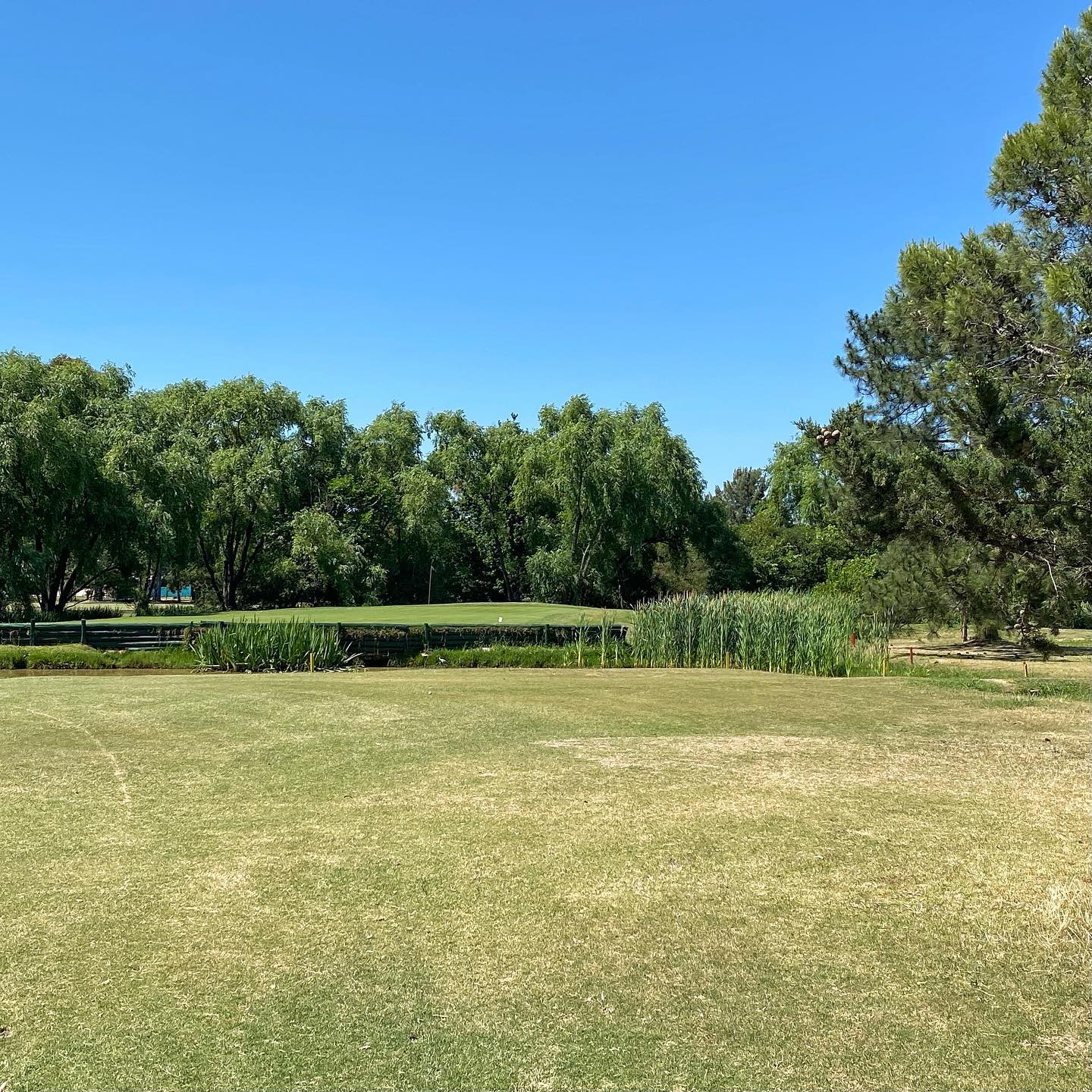 SAN JORGE GOLF CLUB