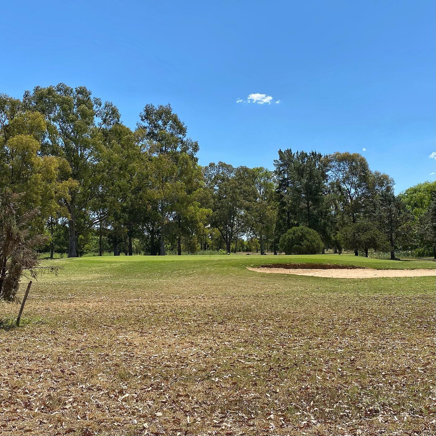SAN JORGE GOLF CLUB