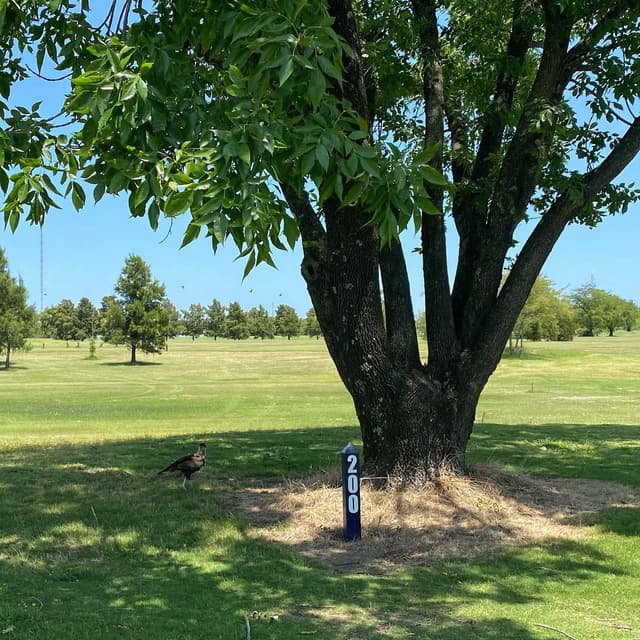 San Patricio Golf