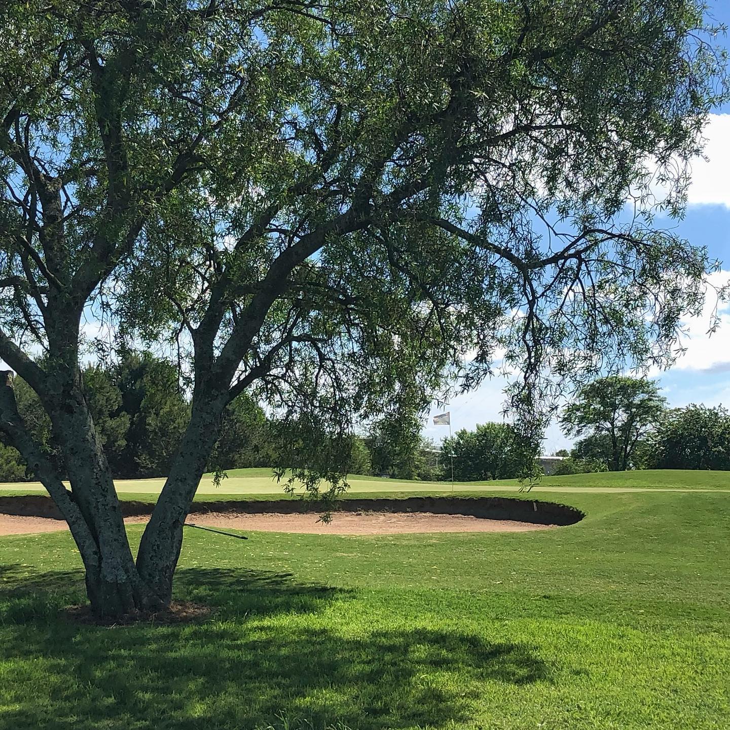 SAN PATRICIO GOLF
