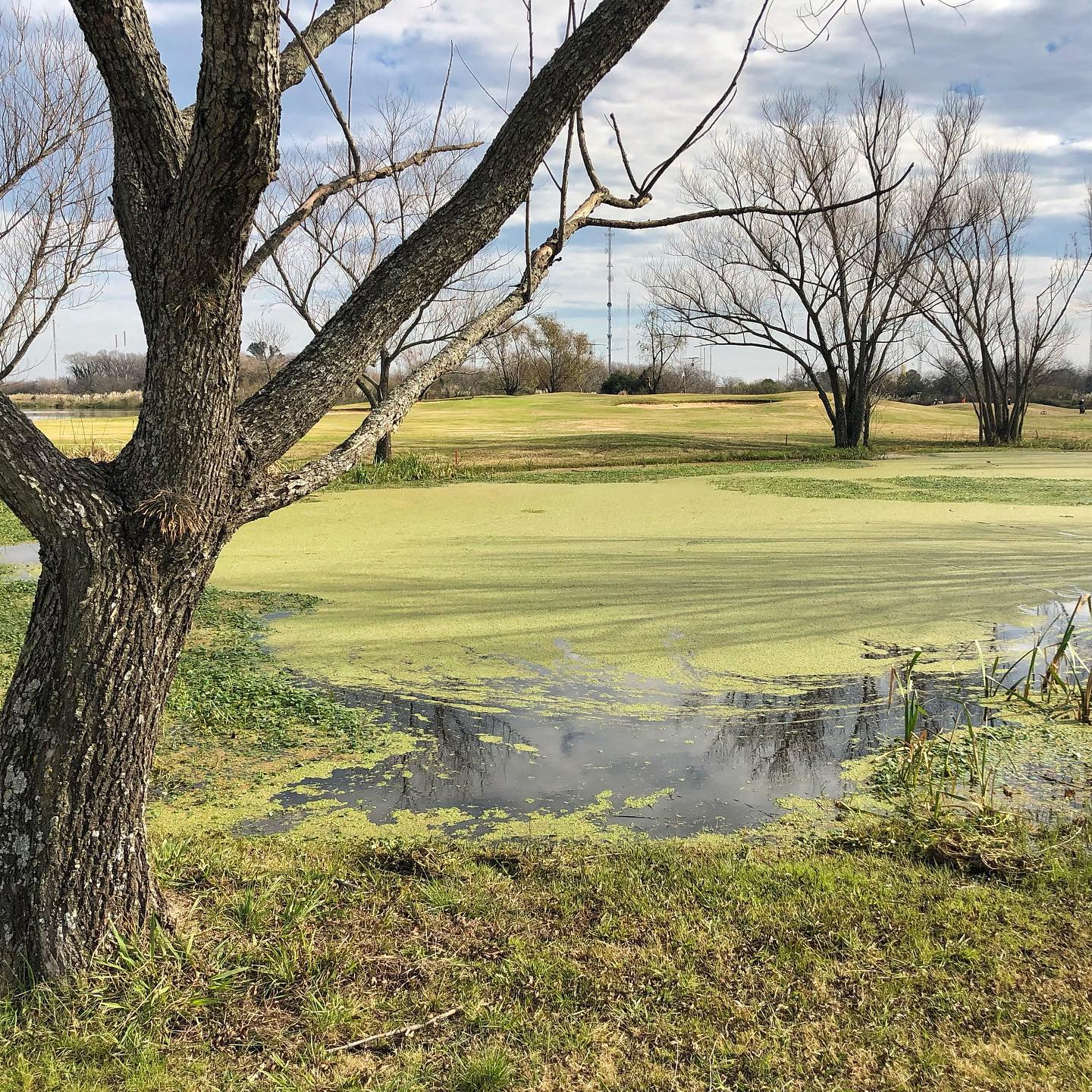 SAN PATRICIO GOLF