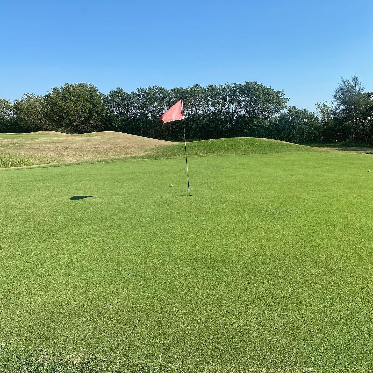 SAN PEDRO GOLF CLUB