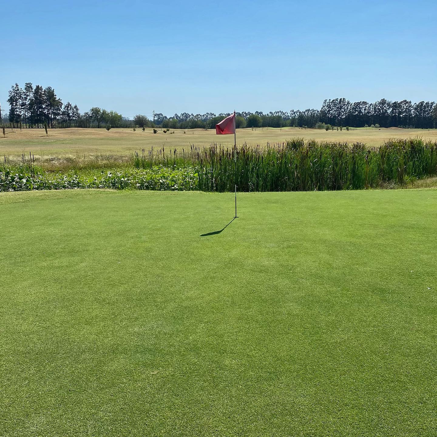 SAN PEDRO GOLF CLUB