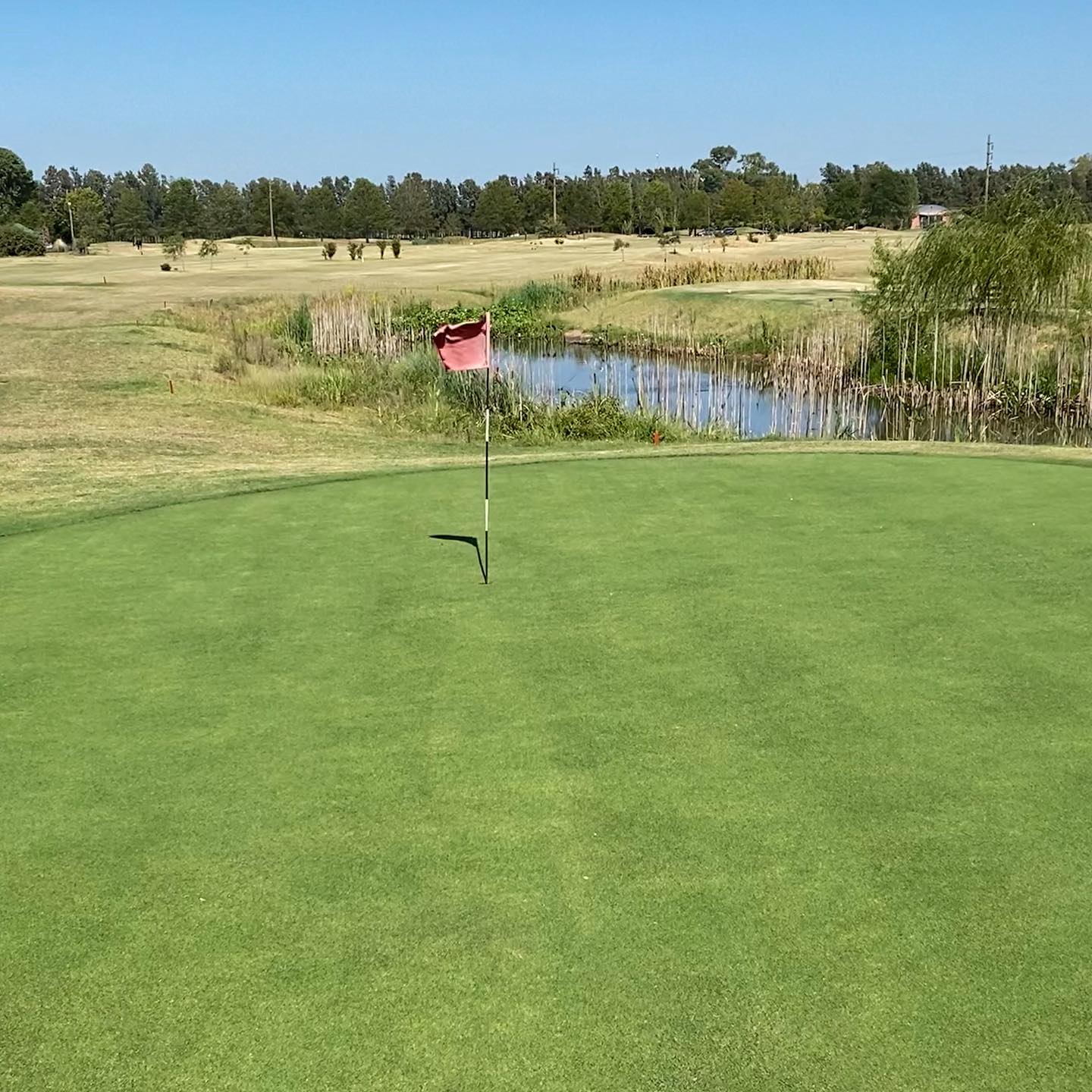 SAN PEDRO GOLF CLUB