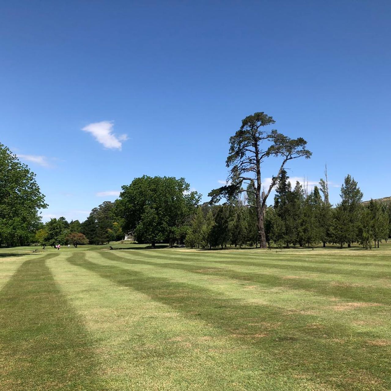 TANDIL GOLF CLUB