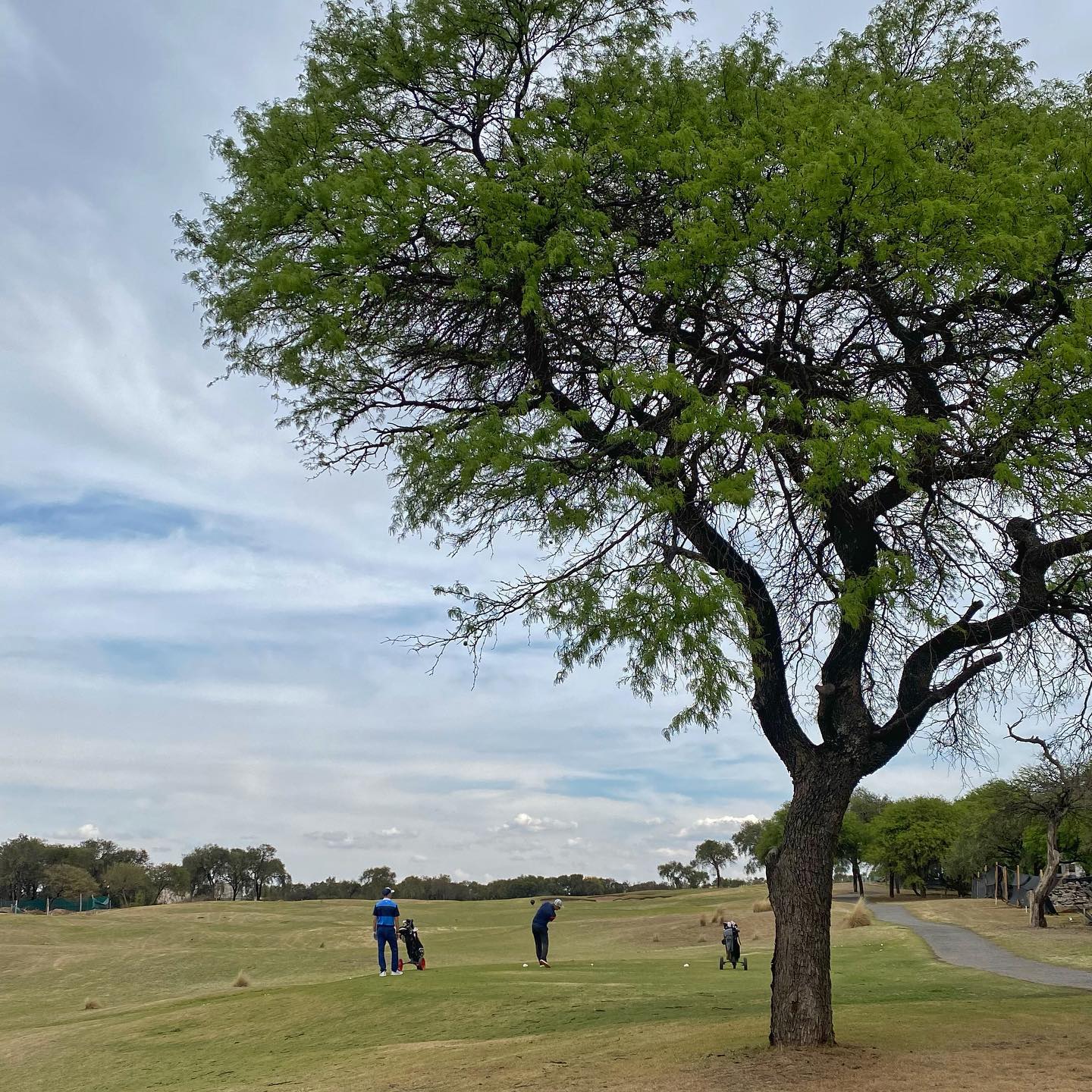 VALLE DEL GOLF
